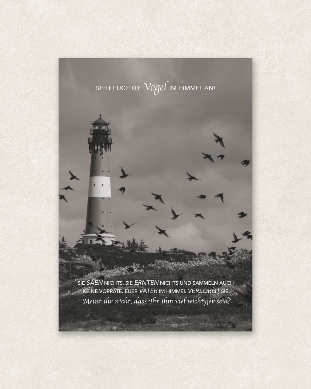 Postkarte A6; Matthäus 6,26