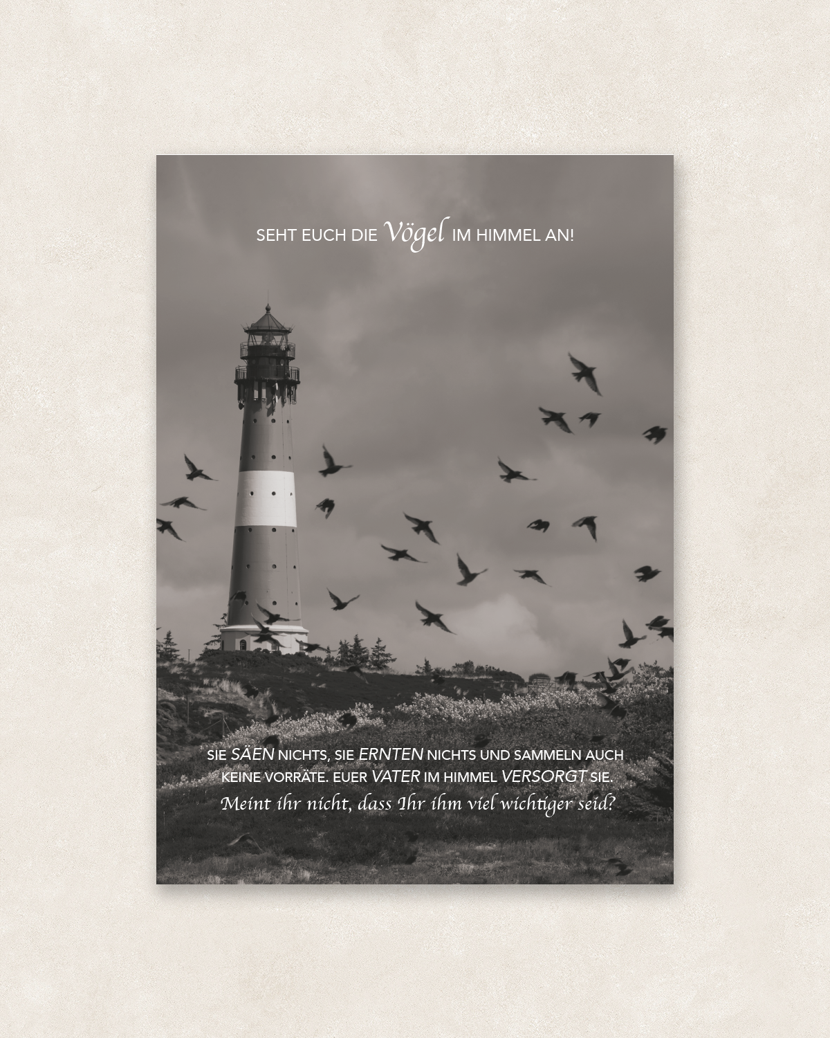 Postkarte A6; Matthäus 6,26